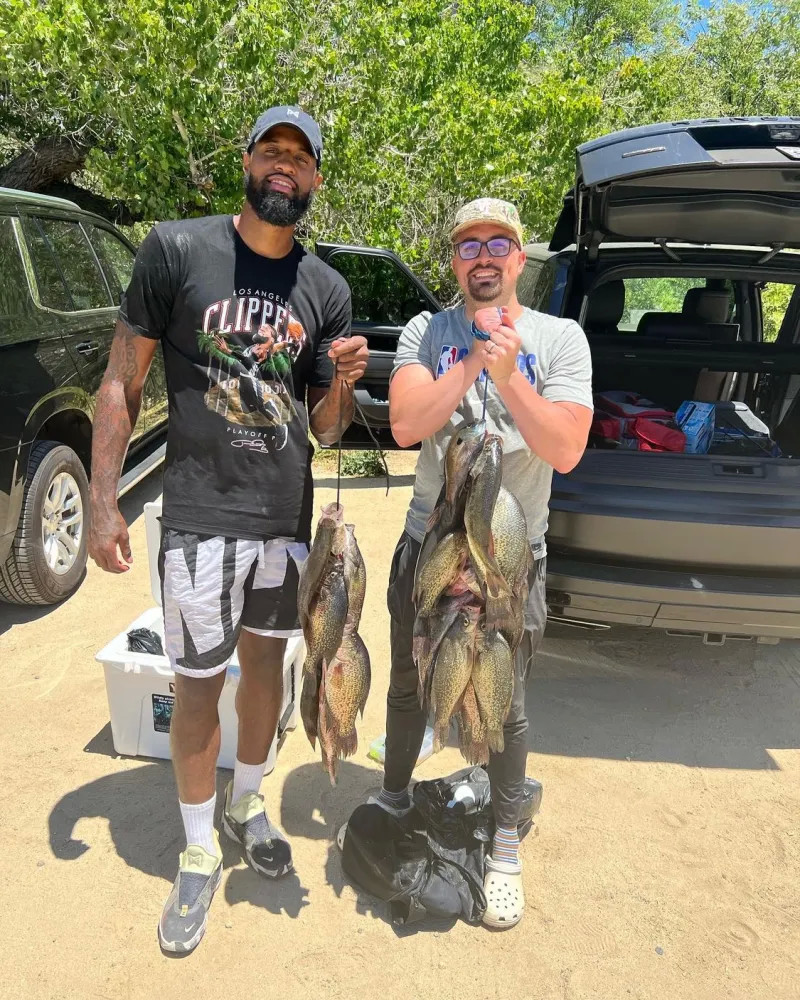 交网络上直 交网络上直