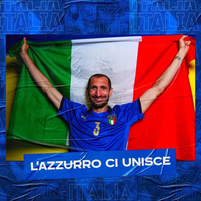 球迷的支持 球迷的支持