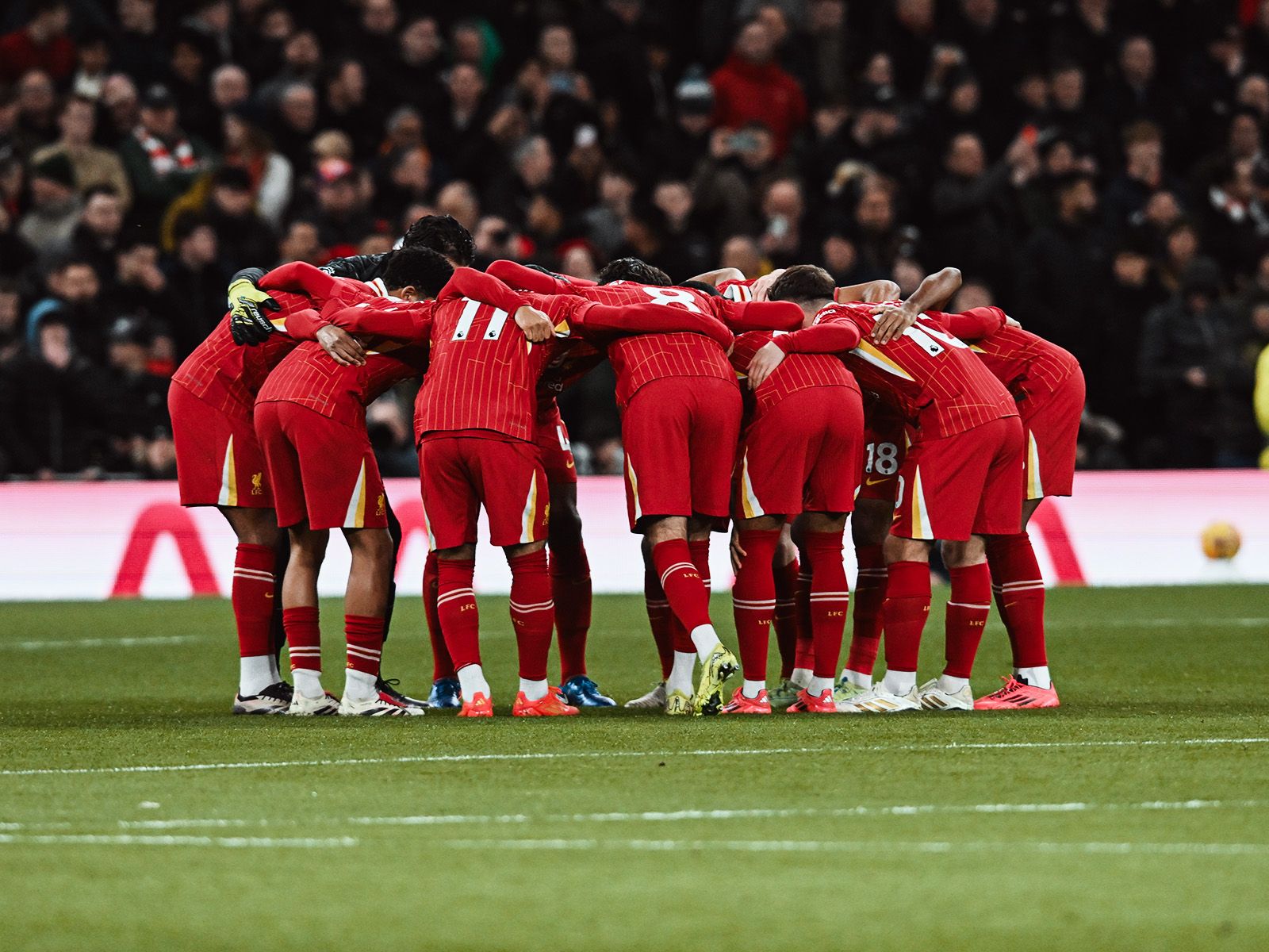 一场诞生于 一场诞生于