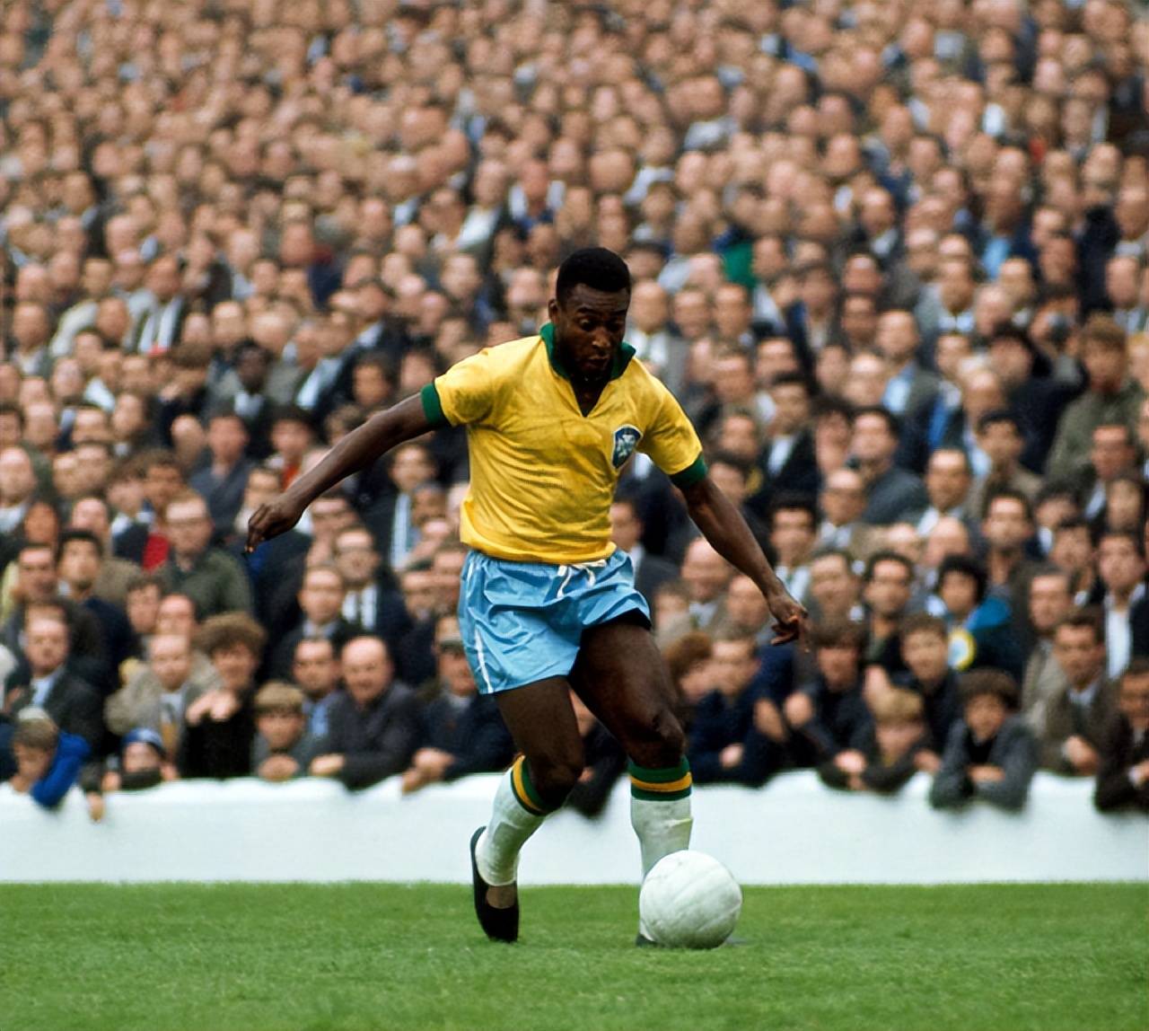 本质不是人 本质不是人